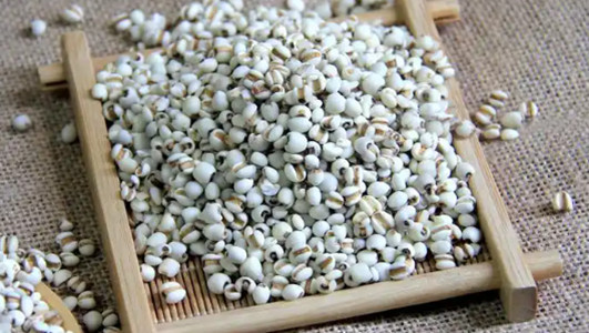 薏苡仁的功效作用功能主治是什么，有什么功效作用好处？