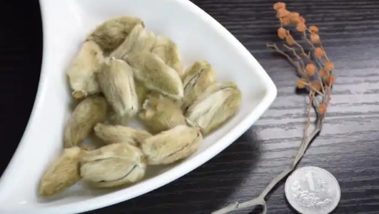 辛夷的功效作用功能主治是什么，有什么功效作用好处？