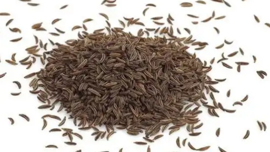 芹菜籽的功效作用功能主治是什么，有什么功效作用好处？