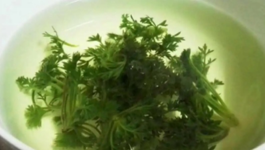 茵陈蒿汤的功效作用功能主治是什么，有什么功效作用好处？