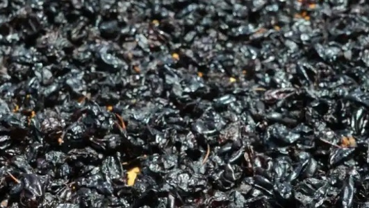 蒸萸肉的功效作用功能主治是什么，有什么功效作用好处？