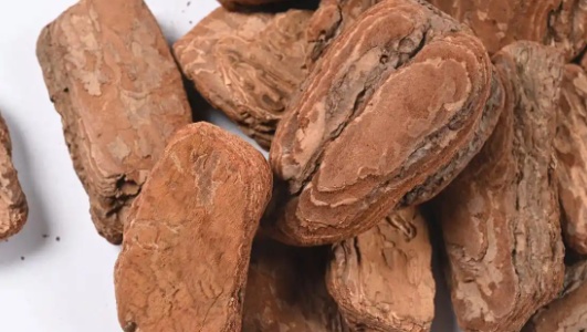 松树皮的功效作用功能主治是什么，有什么功效作用好处？
