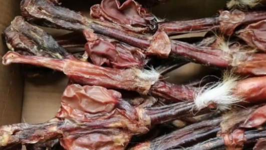 鹿鞭片的功效作用功能主治是什么，有什么功效作用好处？