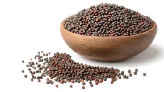 油菜籽的功效作用功能主治是什么，有什么功效作用好处？