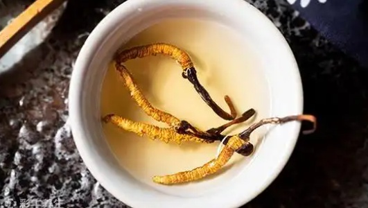 虫草泡酒的功效作用功能主治是什么，有什么功效作用好处？
